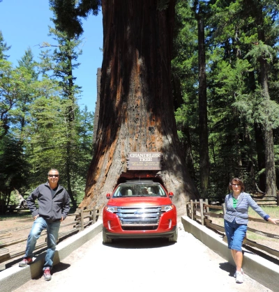 redwood-national-park-private-tour.jpg